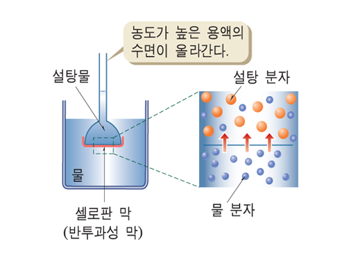 정원화학 이미지