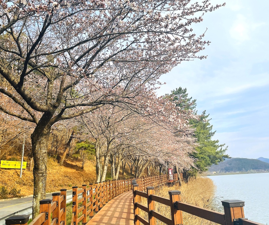 꽃보라화원 이미지