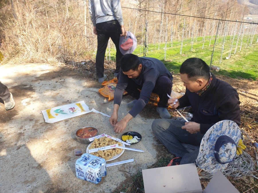 고제반점 이미지