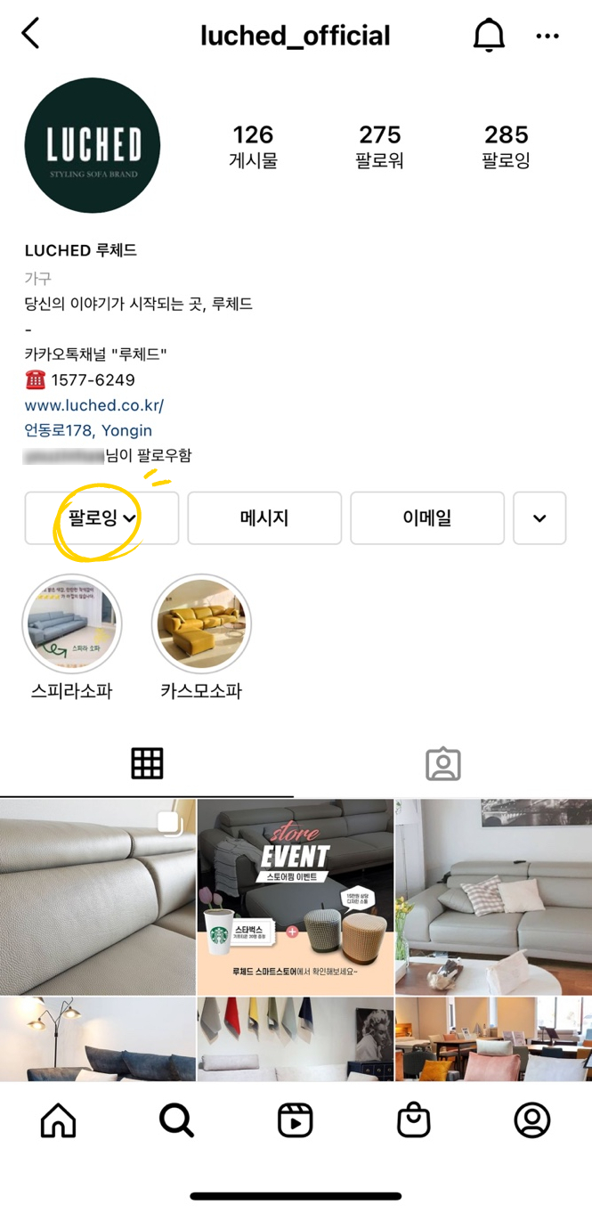 루체드 이미지