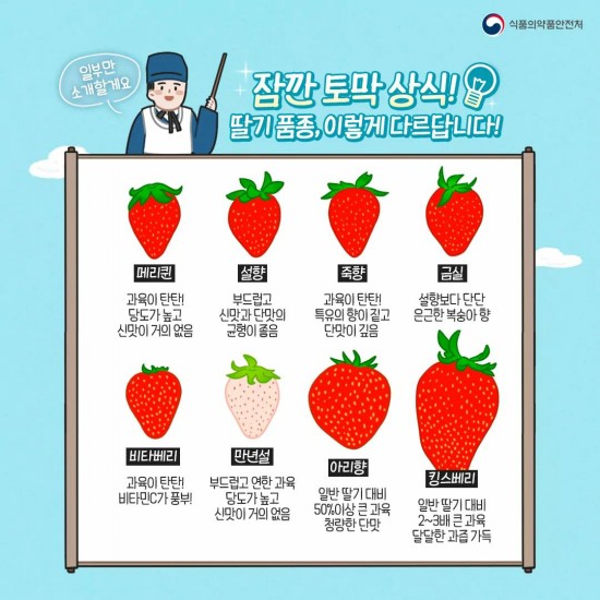 비타민에듀 이미지