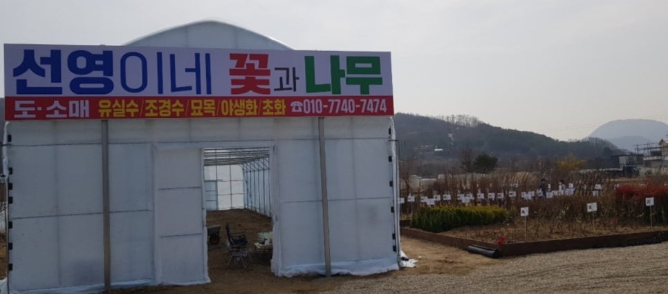 선영이네꽃과나무 이미지