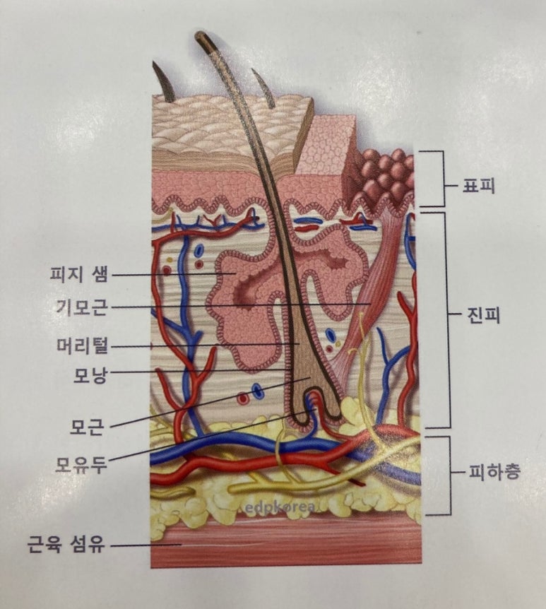 집고춘천 이미지