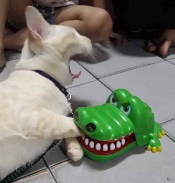 아침베이커리 이미지
