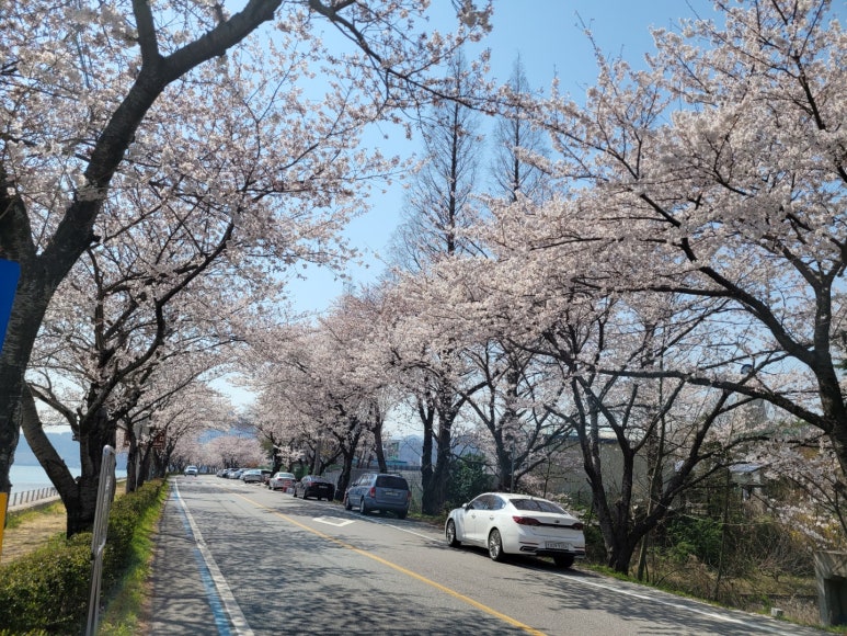 청룡식당 이미지
