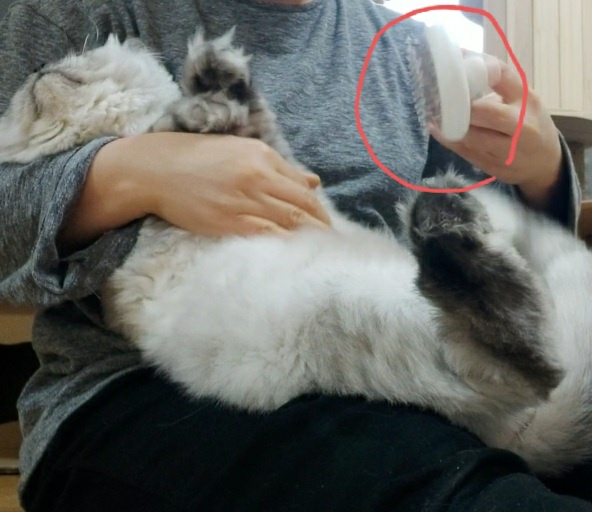 크리빗 이미지