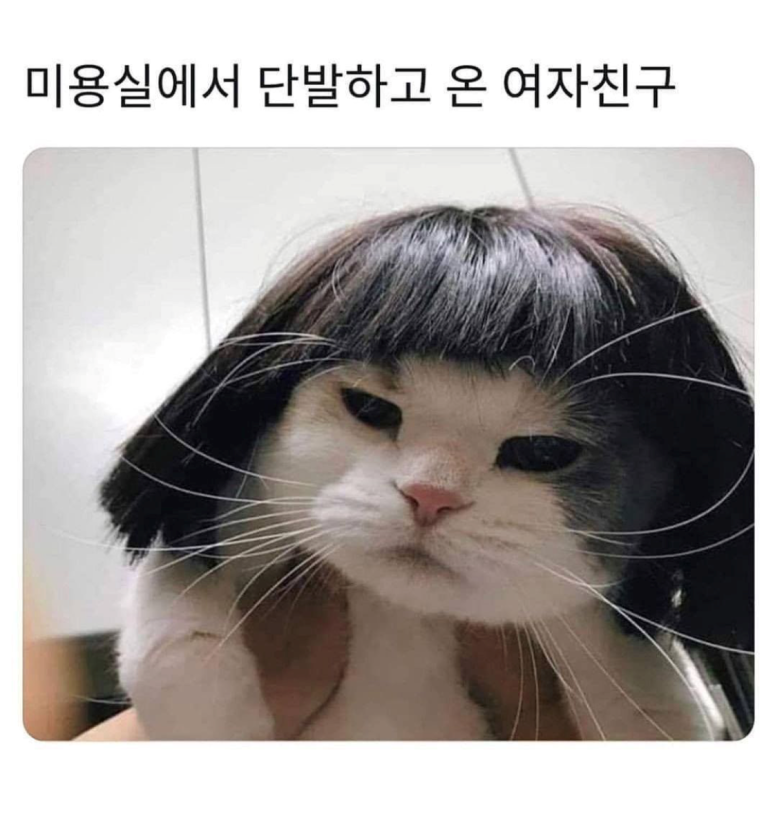 배달슈퍼 이미지