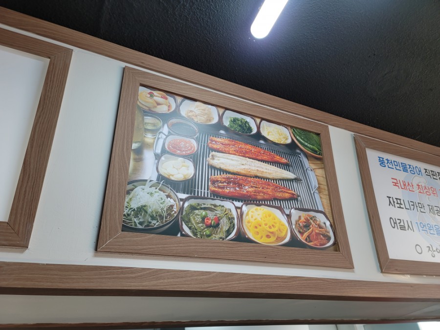 장어나다 이미지