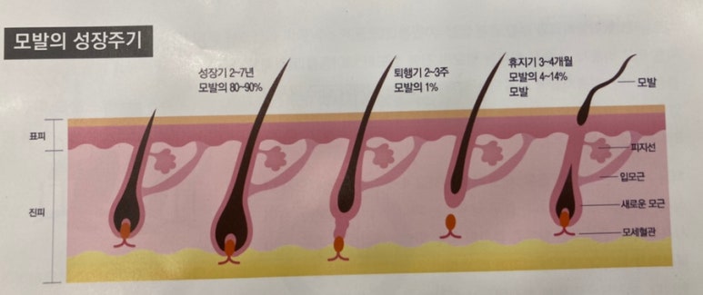 집고춘천 이미지