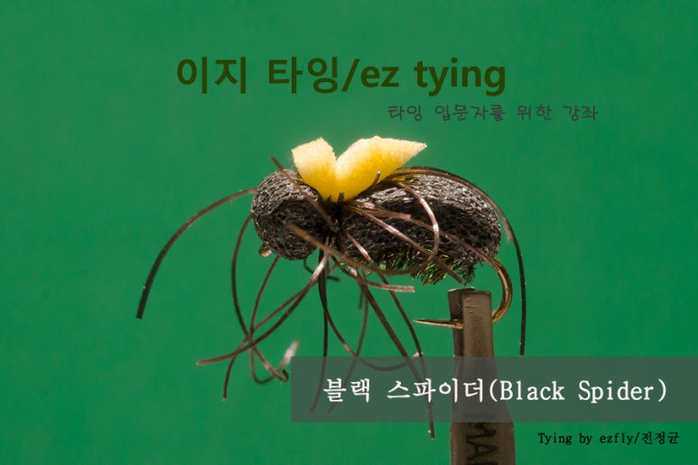 이지플라이 이미지