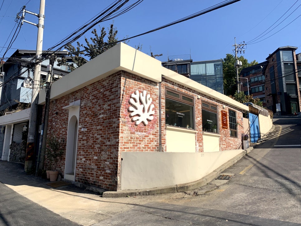 보호리카 이미지