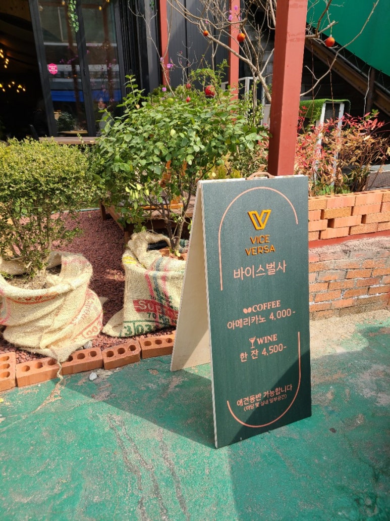 바이스벌사(Vice Versa) 이미지