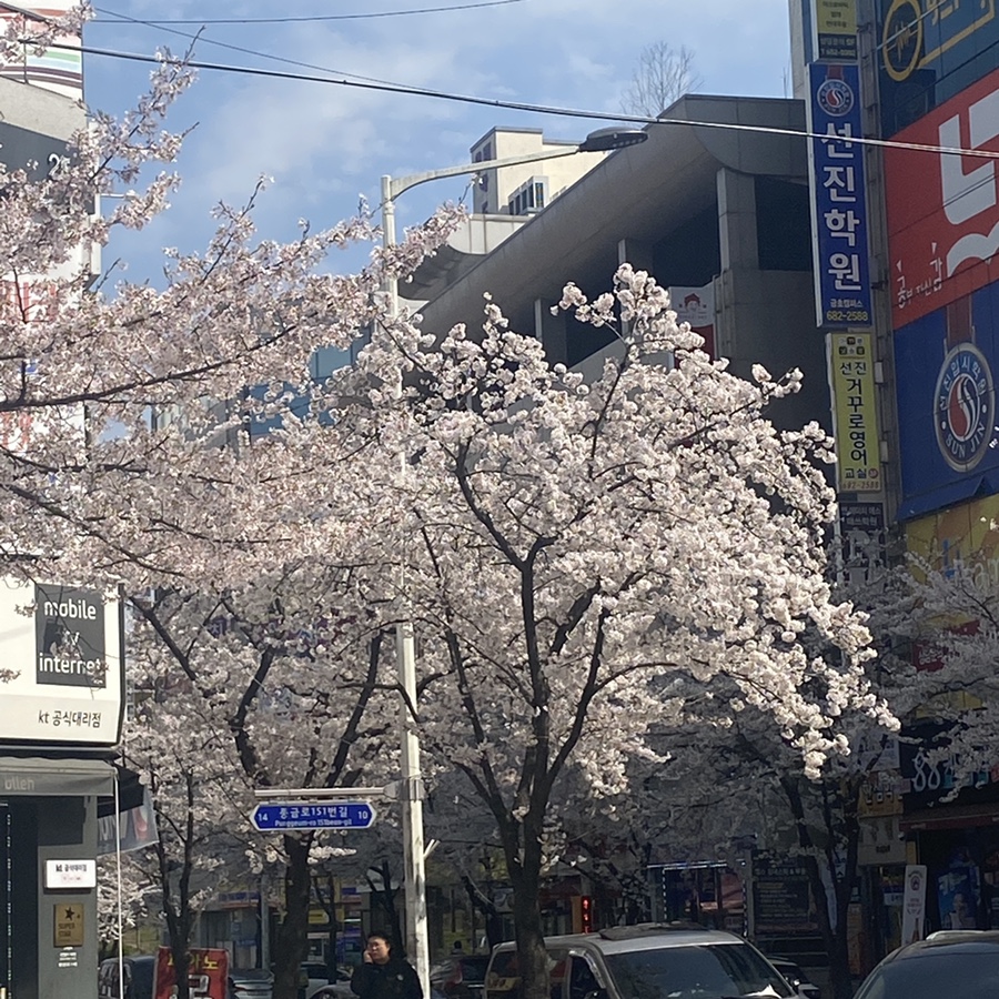 밸업 이미지