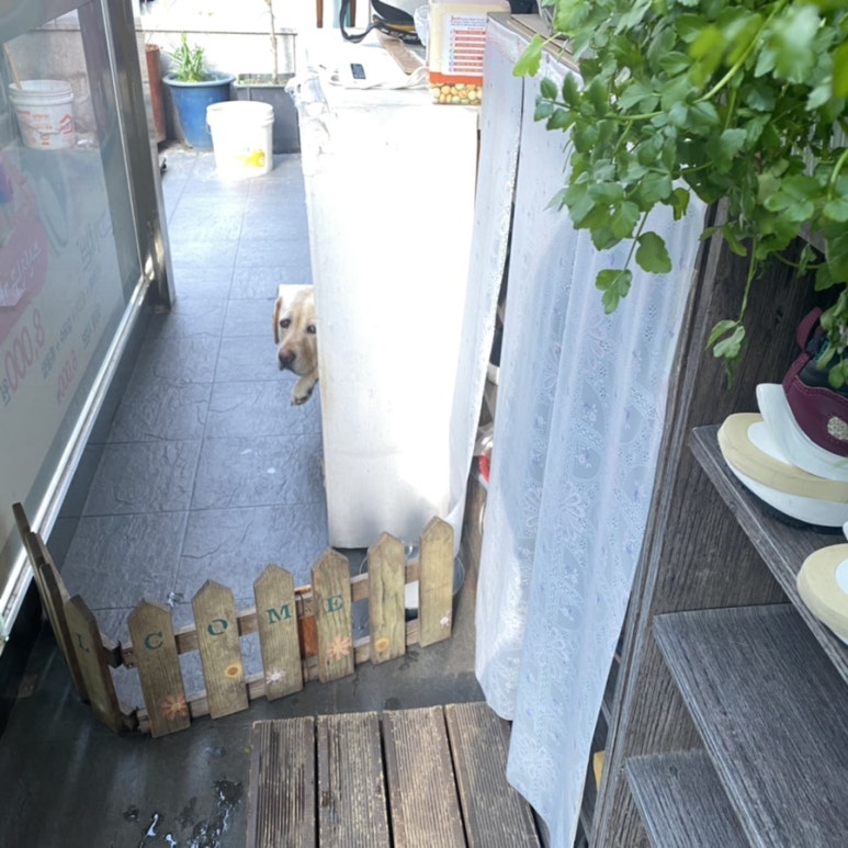 산머루샤브샤브칼국수 이미지
