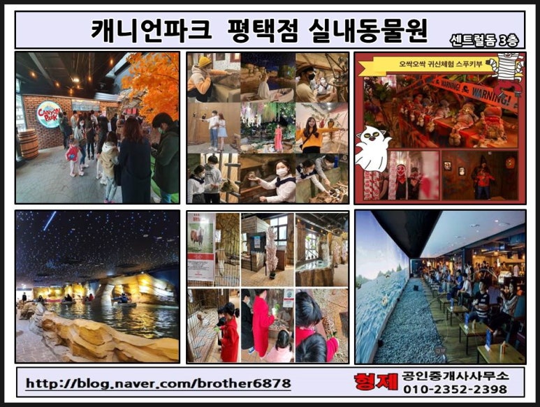 메종몽생 이미지