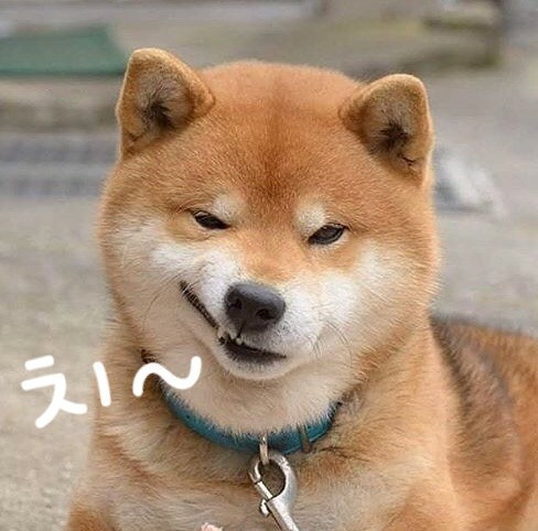 브롬핑 이미지