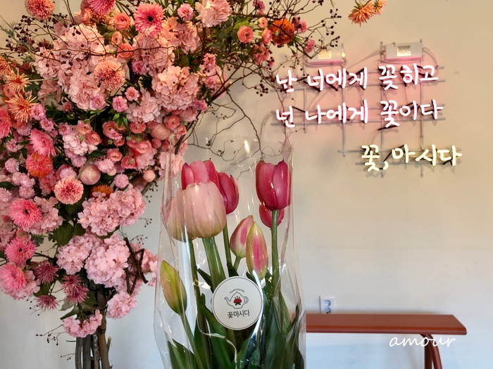 꽃마시다 이미지