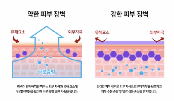 씨씨피 이미지