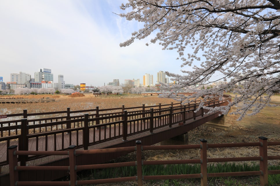 백석사 이미지