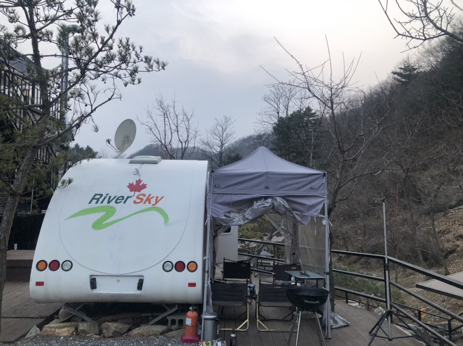 초리포레스트 이미지