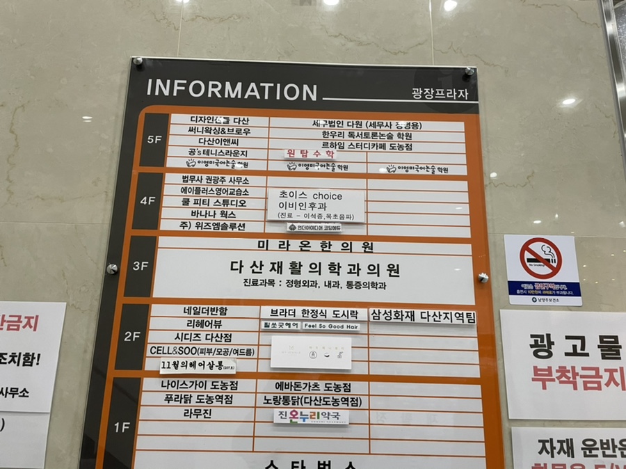써니브로우 이미지