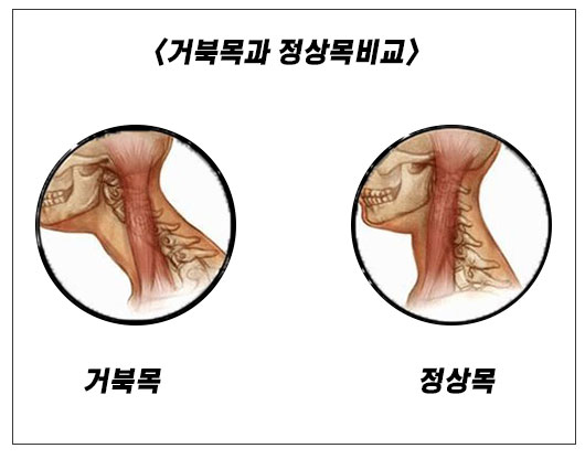 케이앤스포츠 이미지