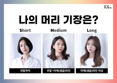 헤어라이브 이미지