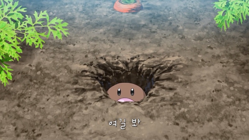 노벨의원 이미지