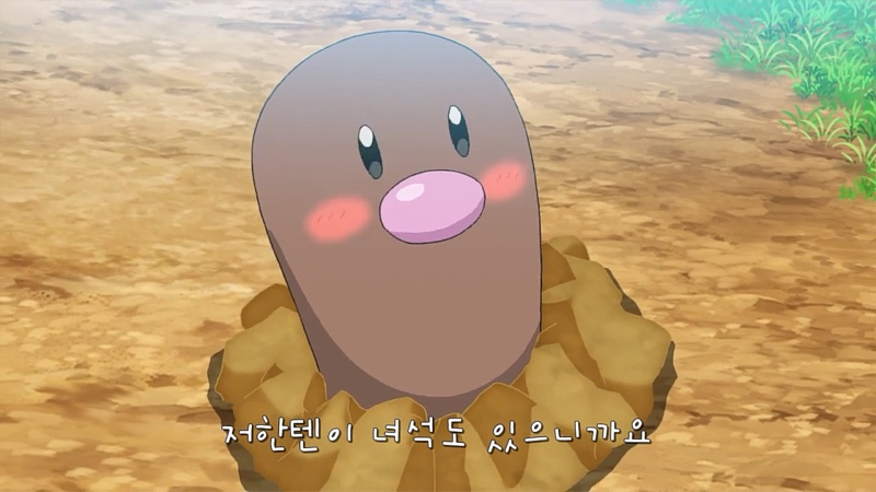 노벨의원 이미지
