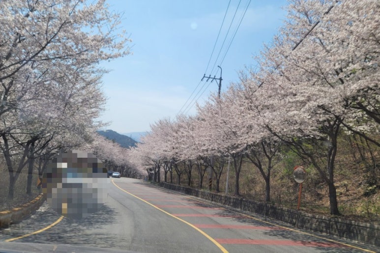 대박이손칼국수 이미지