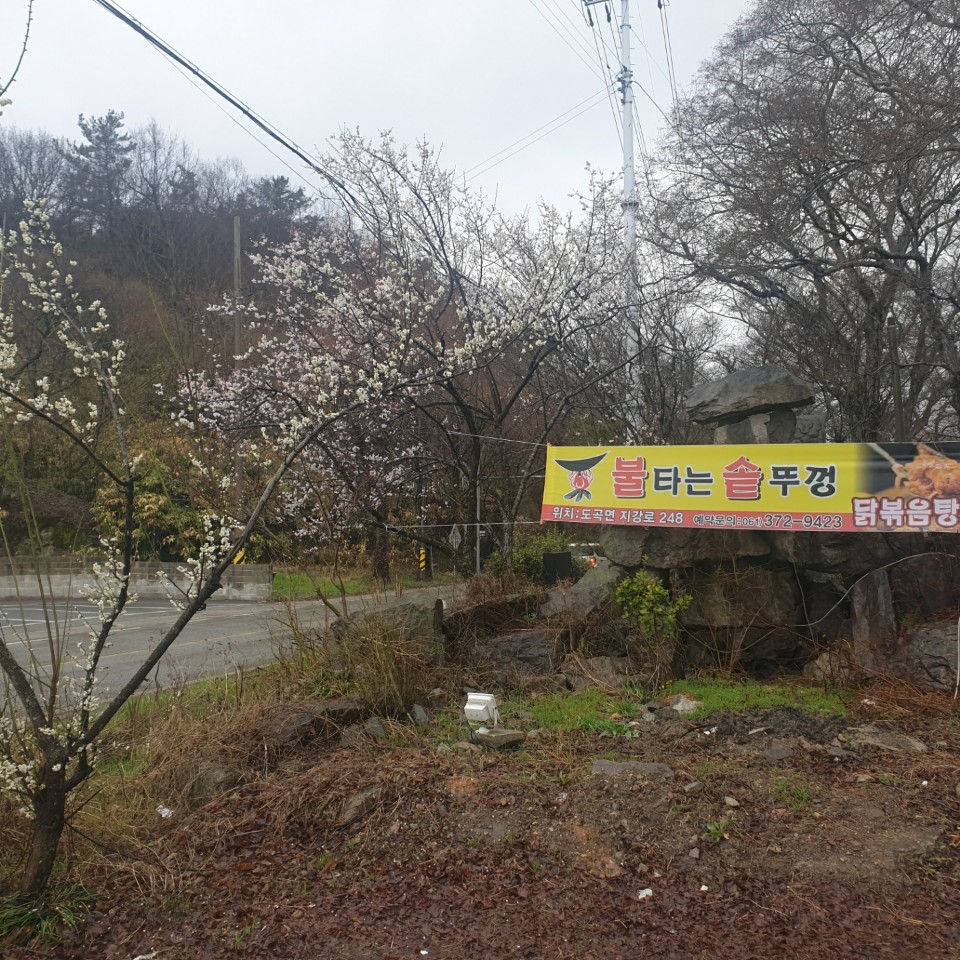 불타는솥뚜껑 이미지