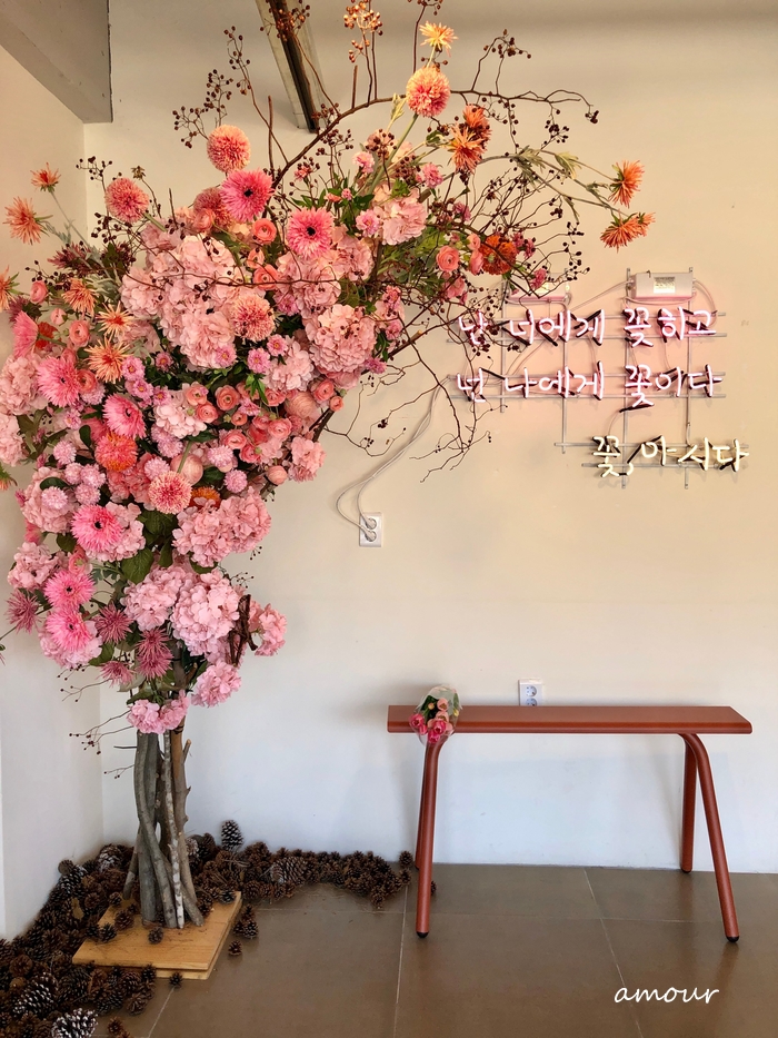 꽃마시다 이미지