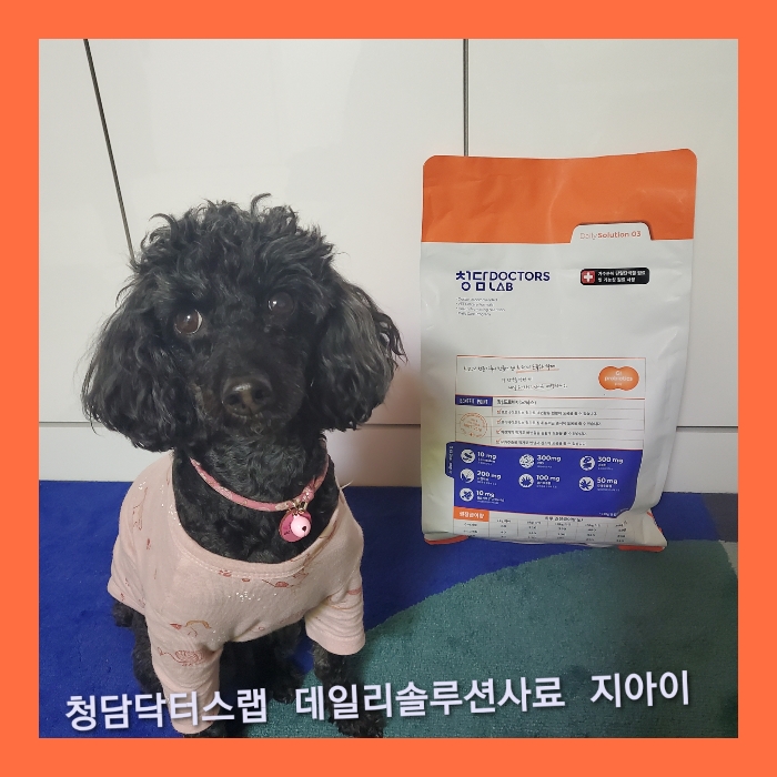 지아이솔루션 이미지