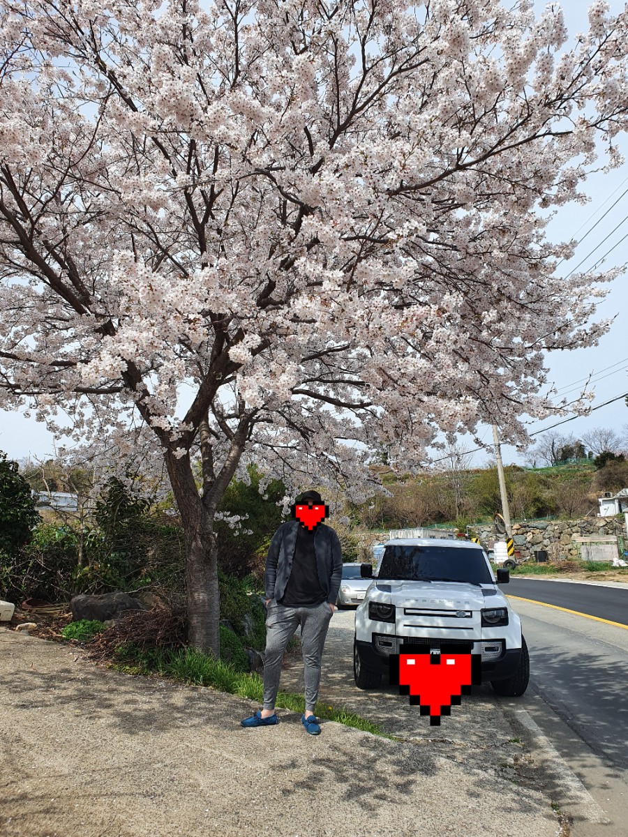 나루목 이미지