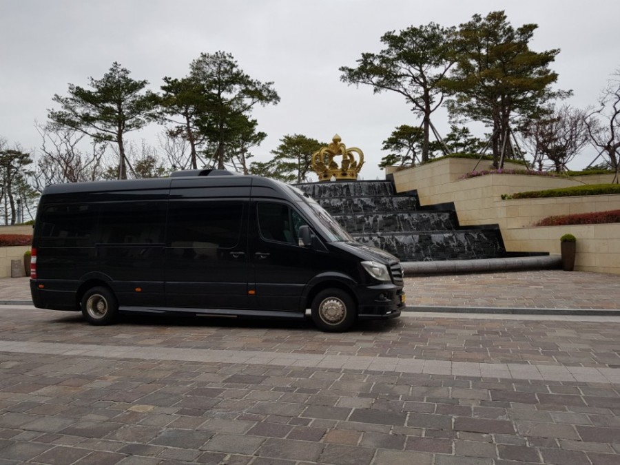 개나리의전 이미지