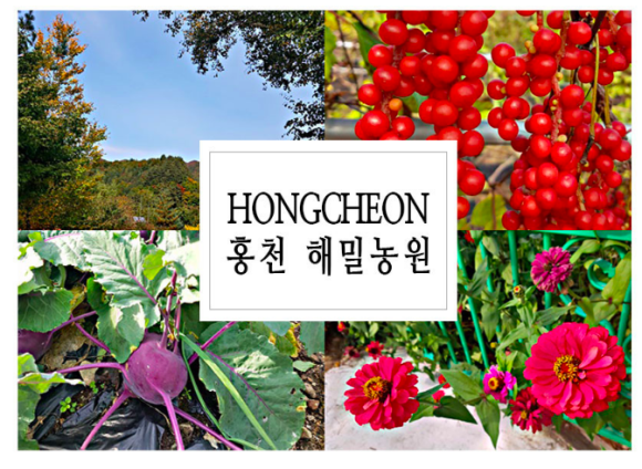 오대산영농조합법인 이미지