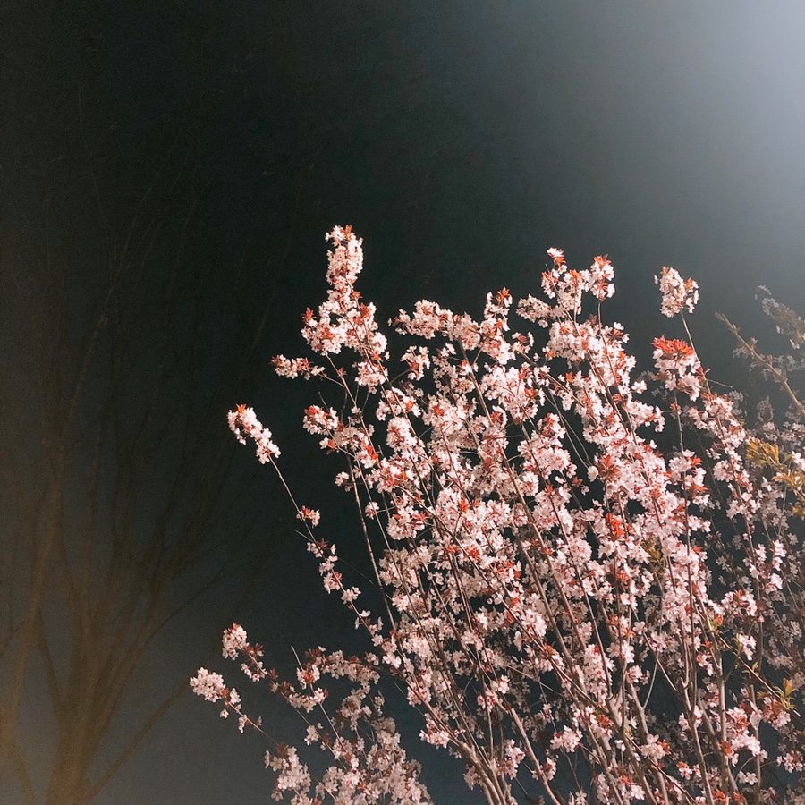 모던파머스 이미지