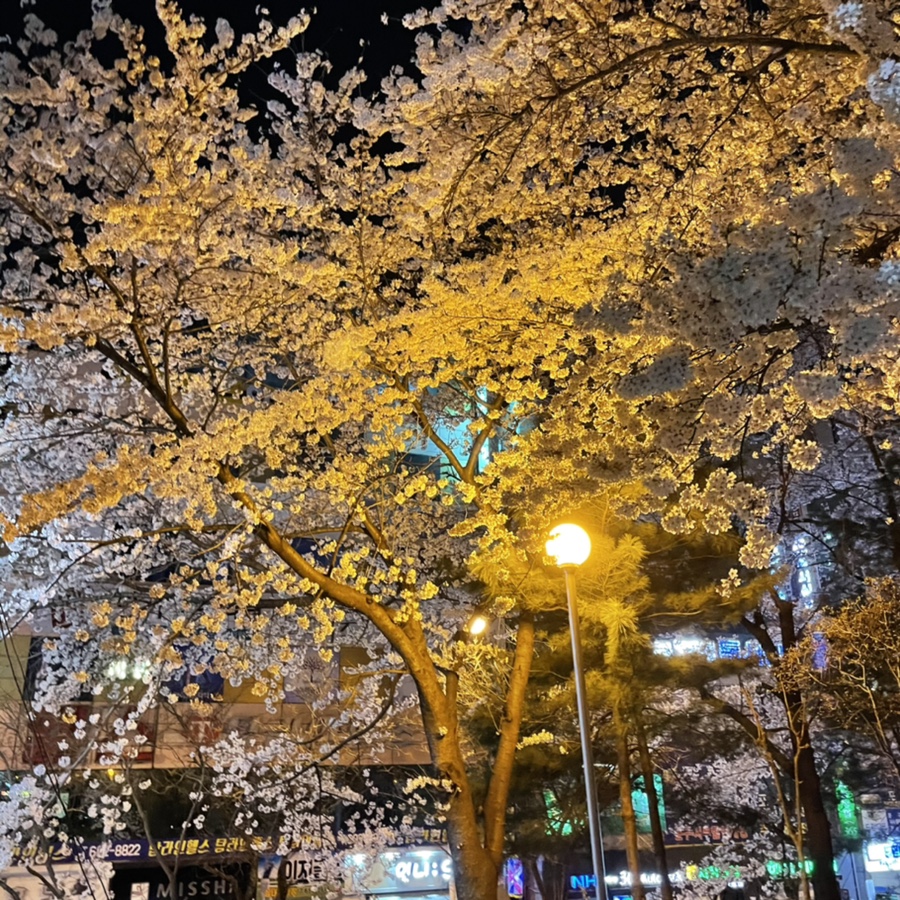 양다린 이미지