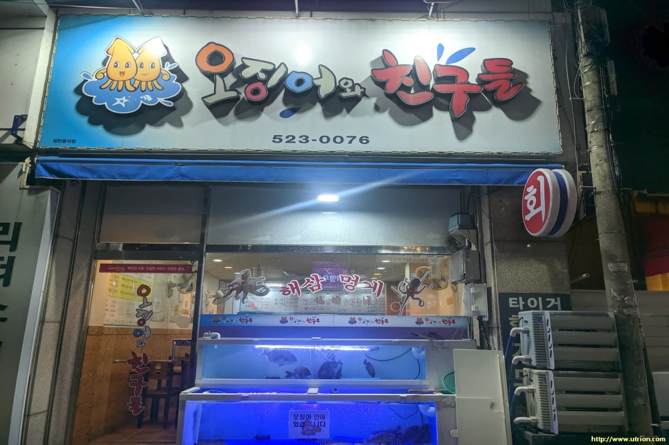 오징어 와 친구들 이미지
