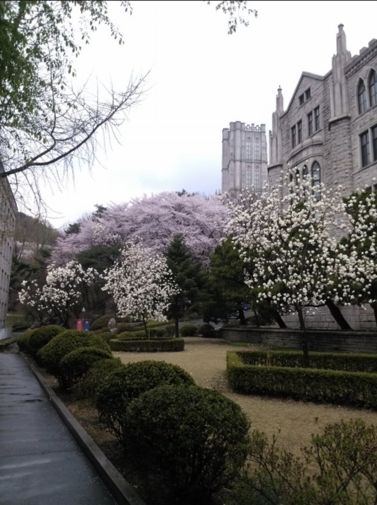 경희대학교 이미지