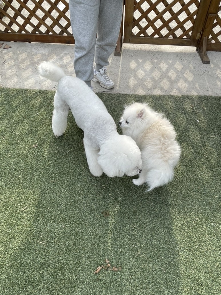 문앤트리 이미지