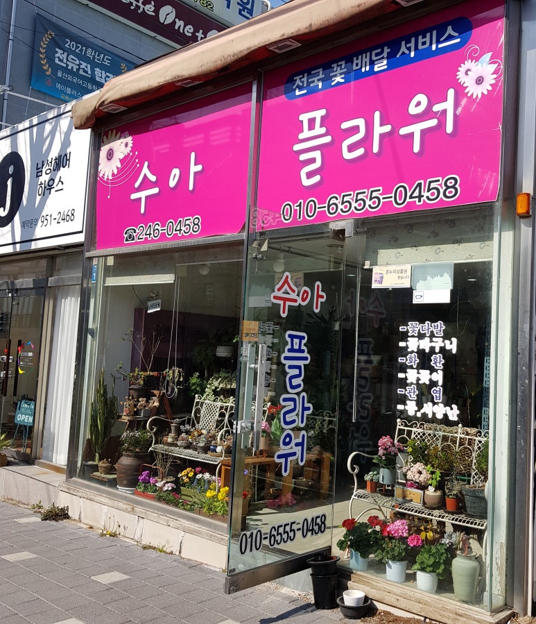 수아플라워 이미지