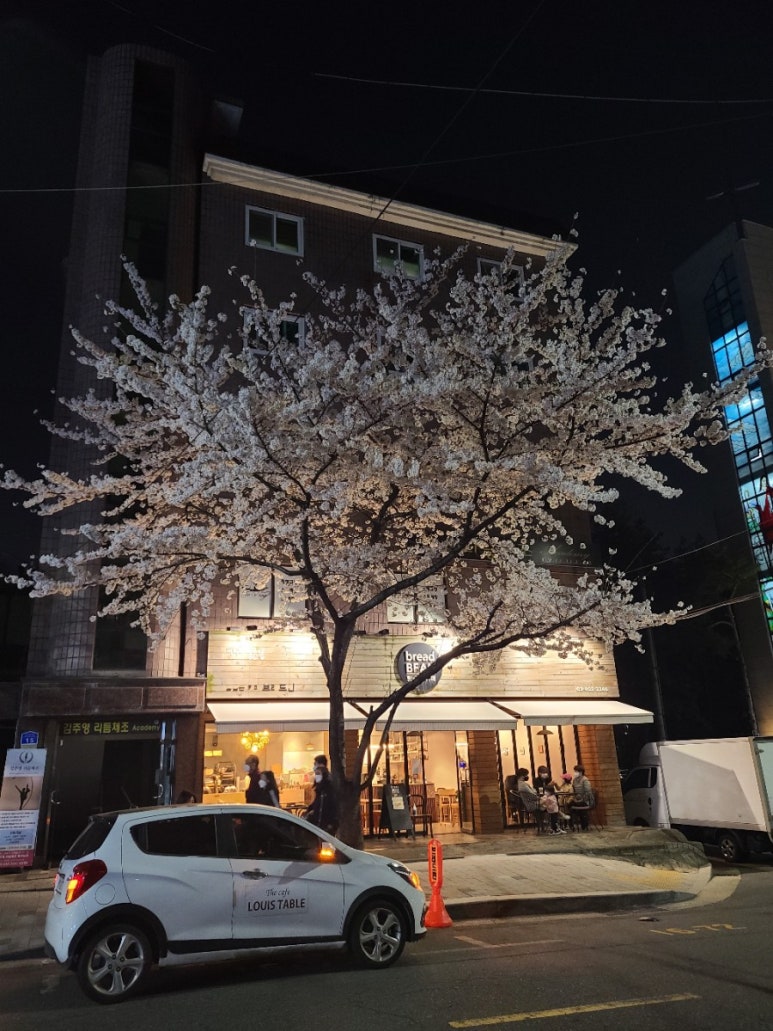 떡볶이&감자튀김 이미지
