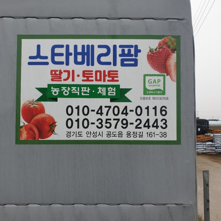 스타베리팜 이미지