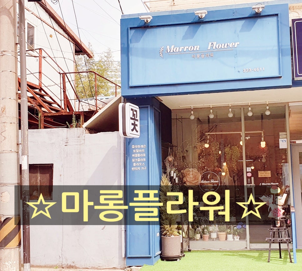 마롱플라워 이미지