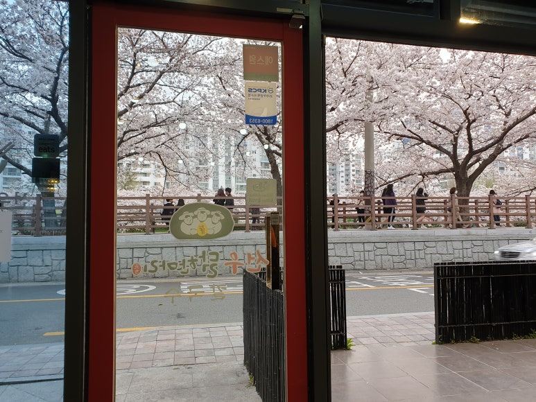 선우닭한마리 이미지