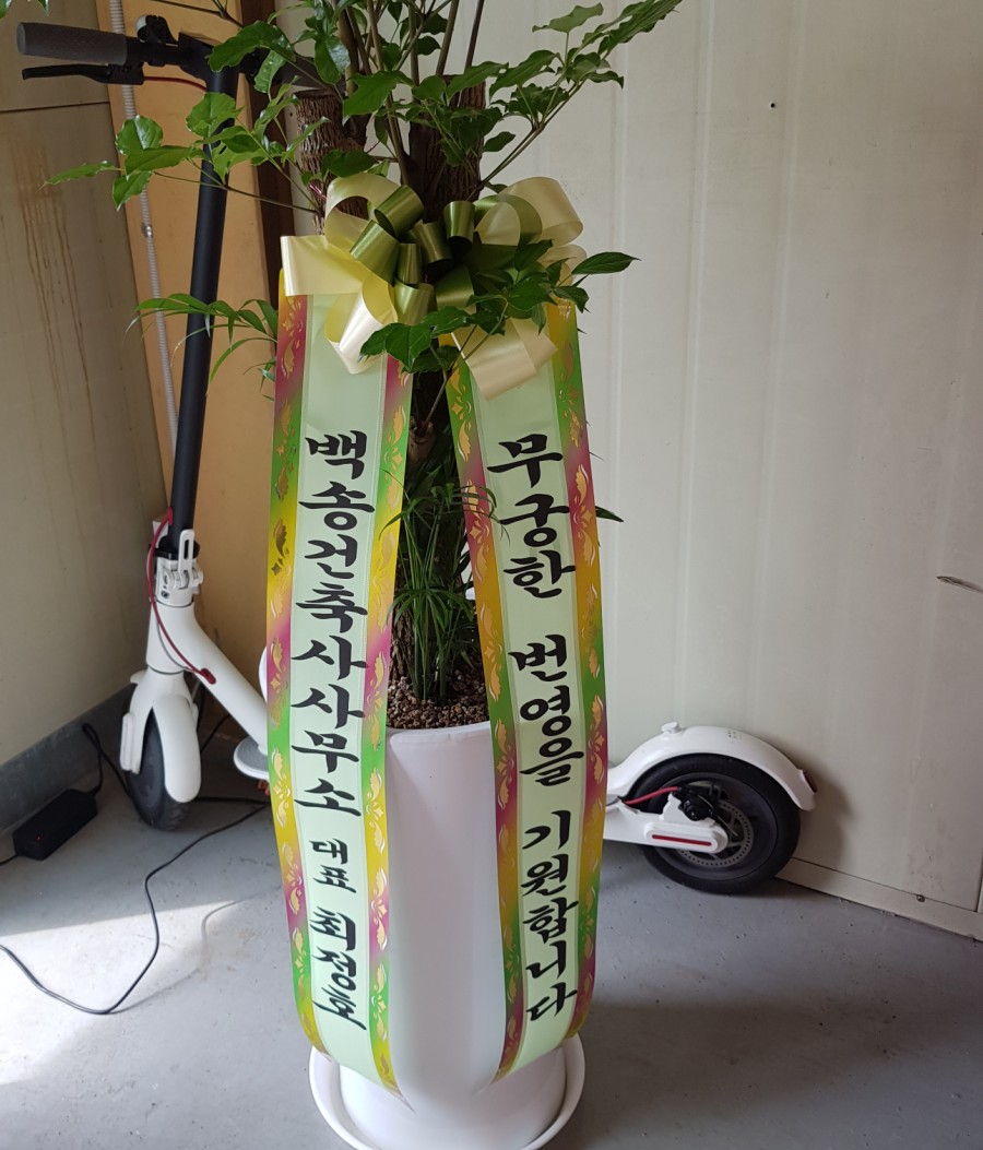 백송건축사사무소 이미지