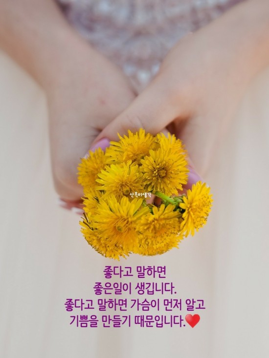 콩쥐팥쥐 이미지