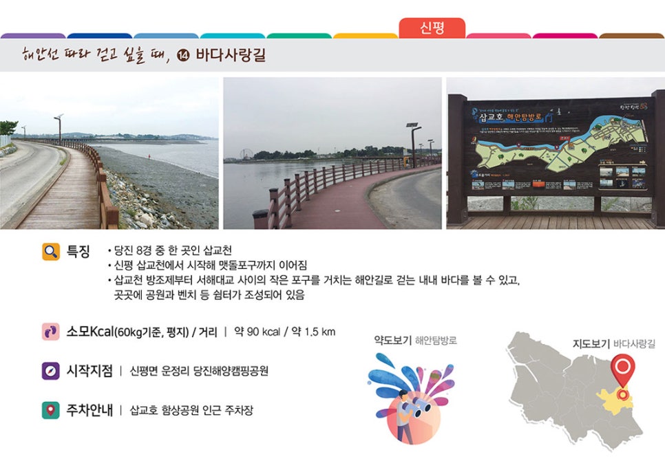 공원갈매기 이미지