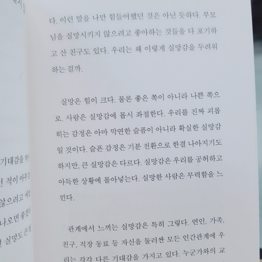 레몬트리 이미지